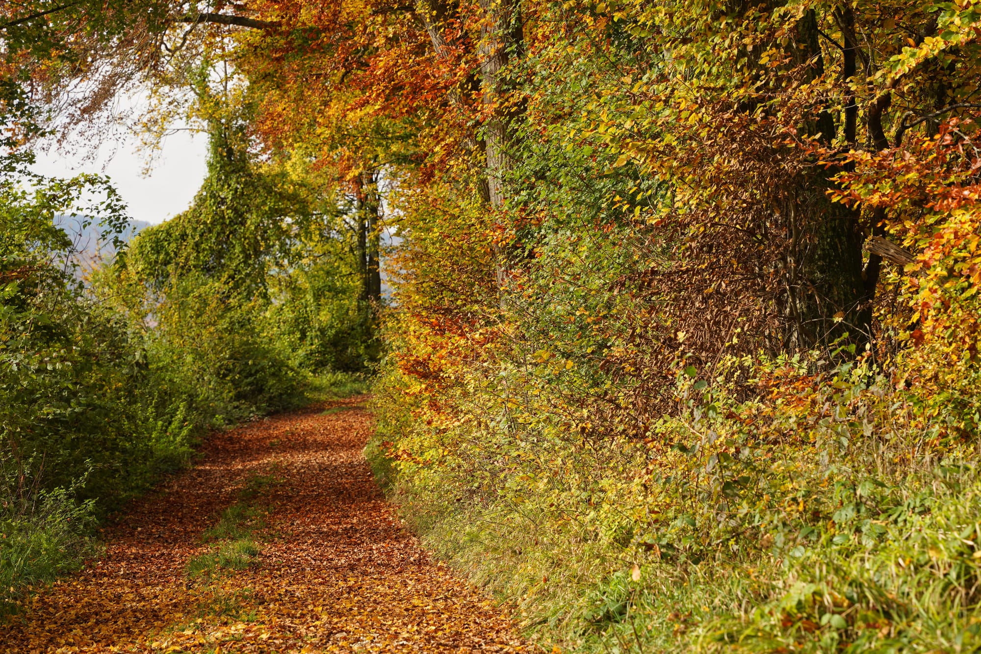 Pictures and Stories